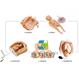 “康為醫(yī)療”高級(jí)腹部觸診、分娩機(jī)轉(zhuǎn)綜合模型