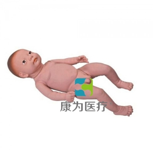 “康為醫(yī)療”高級(jí)足月胎兒模型（男嬰、女嬰任選）