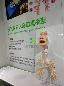 支氣管鏡介入高仿真模型，支氣管鏡介入模擬器