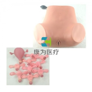 高級婦科綜合檢查模型(婦科雙合診、三合診檢查模型）