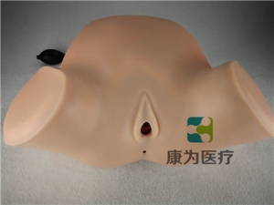高端產(chǎn)科四步觸診、肛查、陰道檢查訓練模型