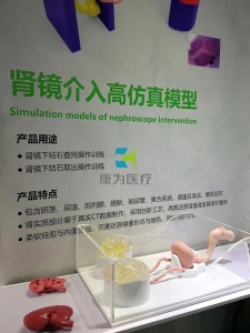 泌尿外科手術(shù)模擬器,泌尿系統(tǒng)結(jié)石手術(shù)介入模擬器-腎軟鏡介入模擬系統(tǒng),腎結(jié)石軟鏡手術(shù)模擬裝置，腎鏡介入手術(shù)仿真模型