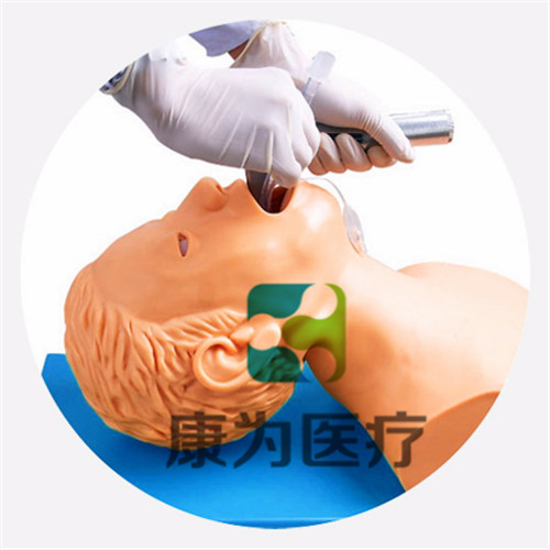 1582611186526833.jpg 20181115165506_97518.jpg