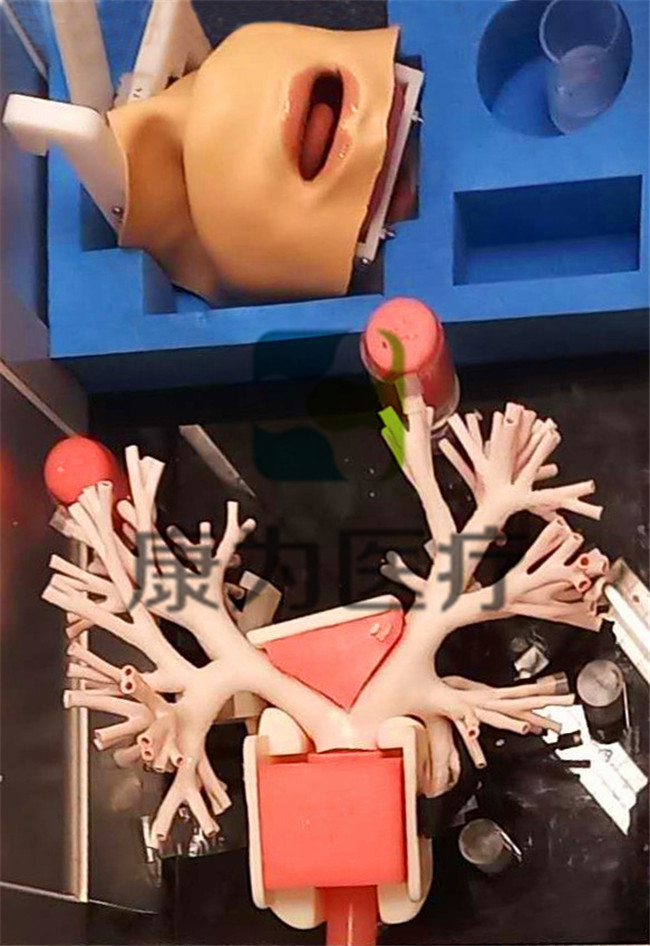 超聲引導下的支氣管末梢穿刺模擬器(末梢超聲) 超聲引導下的支氣管末梢穿刺模擬器(末梢超聲)