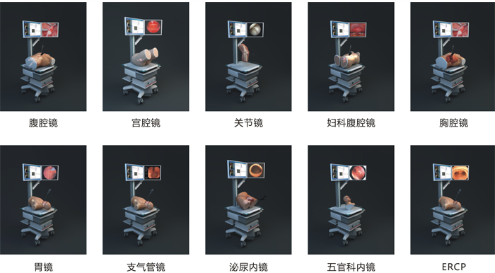 內(nèi)窺鏡虛擬模擬訓(xùn)練系統(tǒng) 內(nèi)窺鏡虛擬模擬訓(xùn)練系統(tǒng)