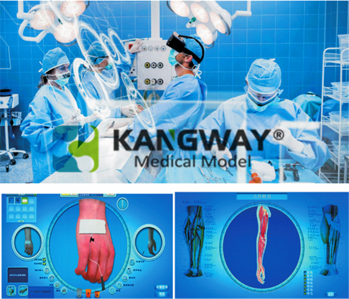 傷口造口護(hù)理虛擬教學(xué)系統(tǒng)--護(hù)理虛擬仿真軟件 傷口造口護(hù)理虛擬教學(xué)系統(tǒng)--護(hù)理虛擬仿真軟件