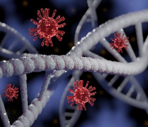 1656524765894807.jpg 1.jpg