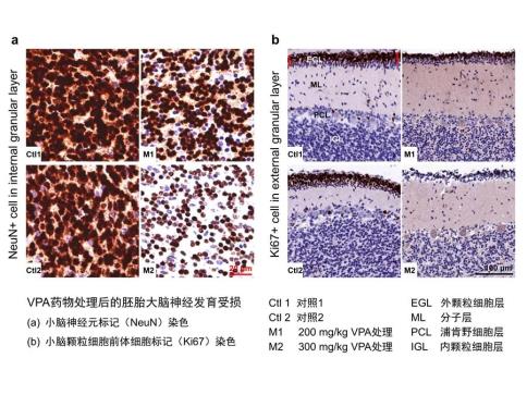 1657325171336999.jpg 1.jpg