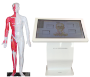 1739410933839583.png 圖片2.png